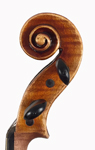 vln 4339TC scroll